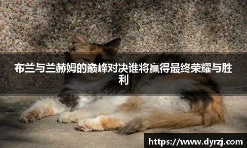 6163银河net163